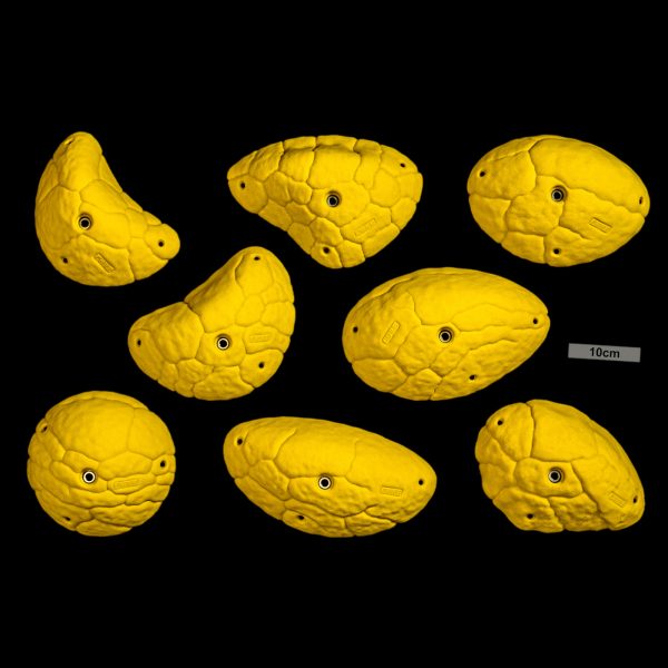 Chwyty wspinaczkowe Font Hard Slopers, 8 szt. w zestawie, ,