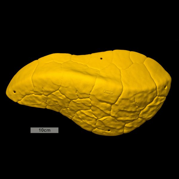 Chwyty wspinaczkowe Font Mini Volume Arete 2, 1 szt. w zestawie, ,