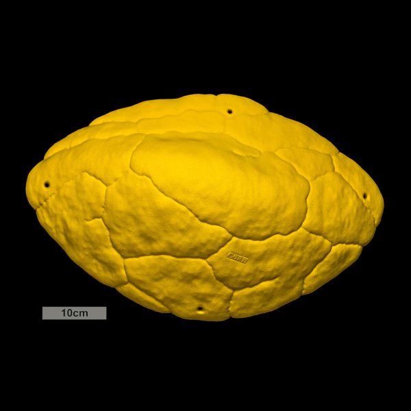 Chwyty wspinaczkowe Font Mini Volume Hard Sloper 1, 1 szt. w zestawie, ,