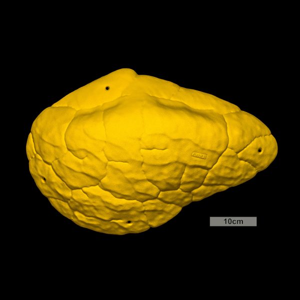 Chwyty wspinaczkowe Font Mini Volume Hard Sloper 2, 1 szt. w zestawie, ,