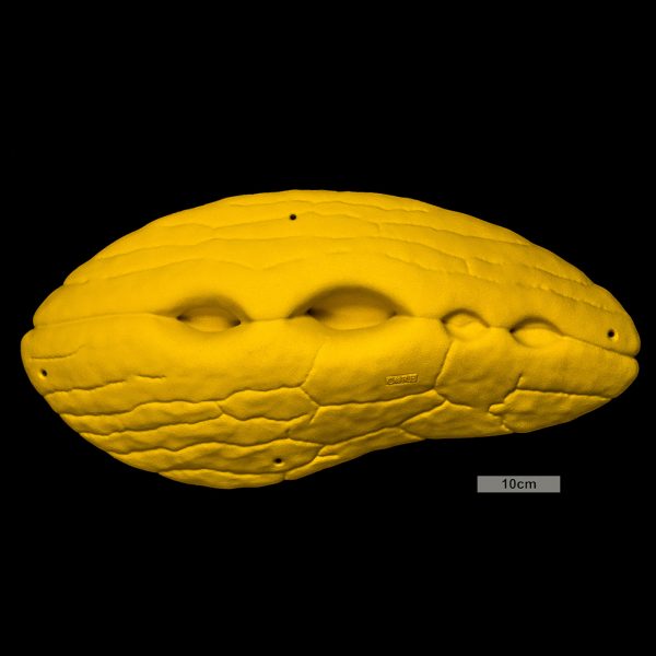 Chwyty wspinaczkowe Font Mini Volume Pocket 1, 1 szt. w zestawie, ,