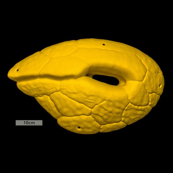 Chwyty wspinaczkowe Font Mini Volume Pocket 2, 1 szt. w zestawie, ,