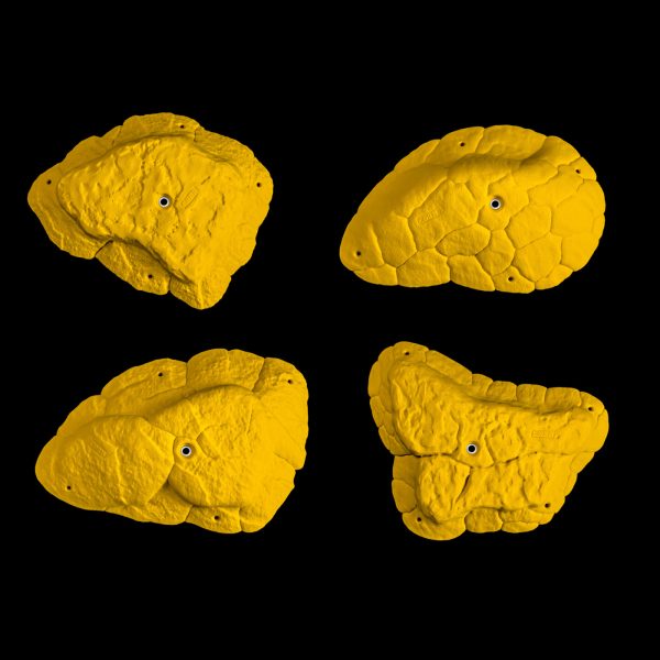 Chwyty wspinaczkowe Font Super Plates, 4 szt. w zestawie, ,